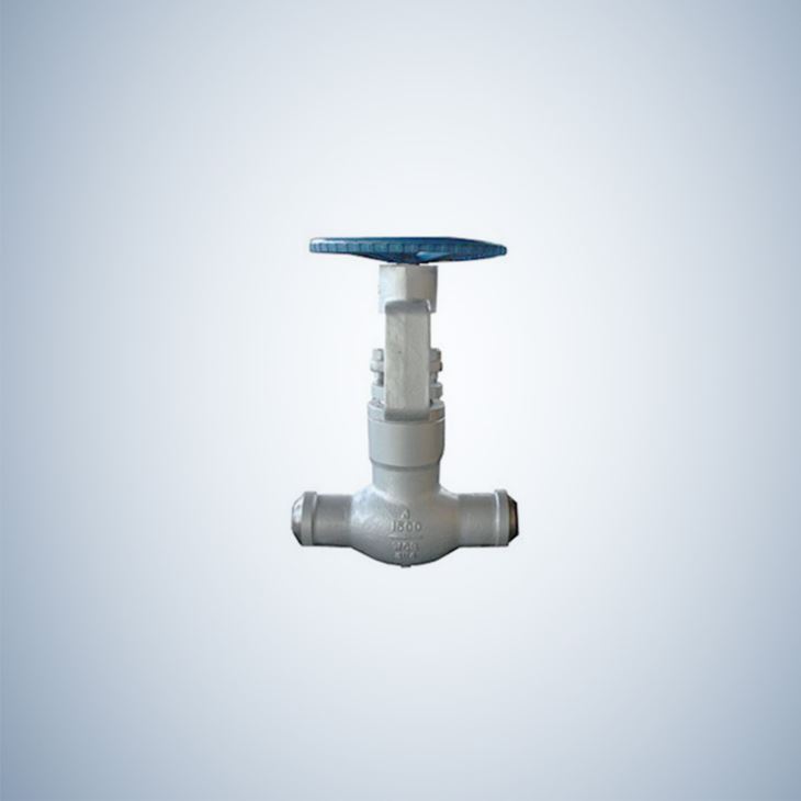 1500Lb Pressure Seal Globe Valve