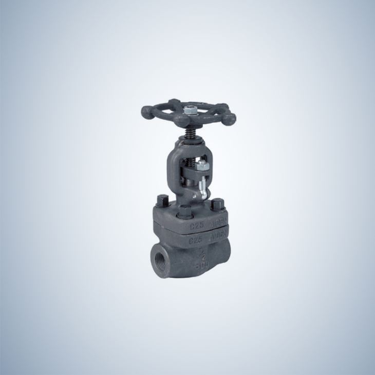 2 Inch Forged Steel Gate Valve