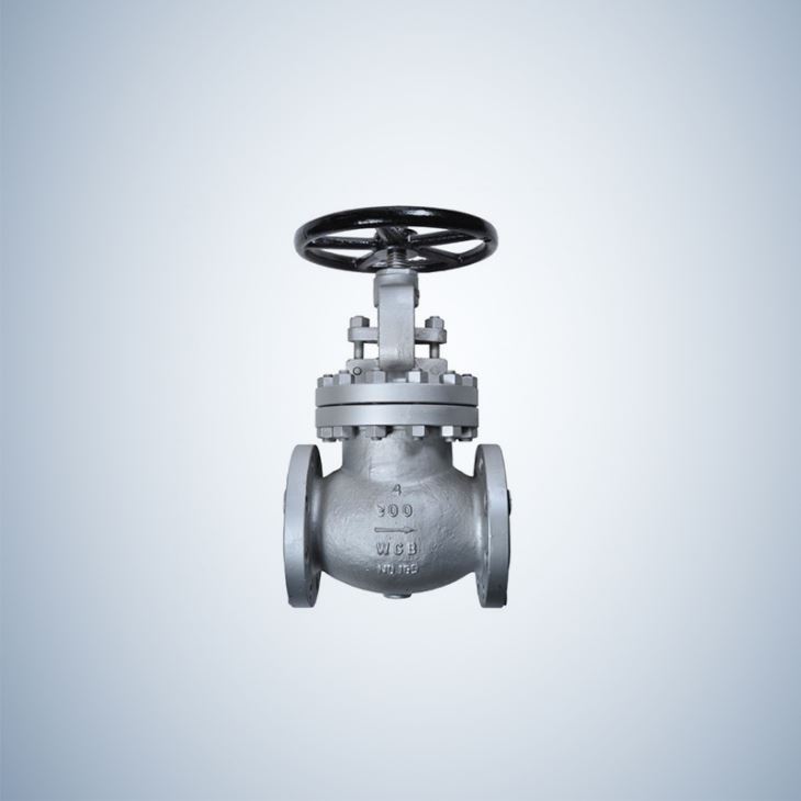 4 Inch WCB Globe Valve