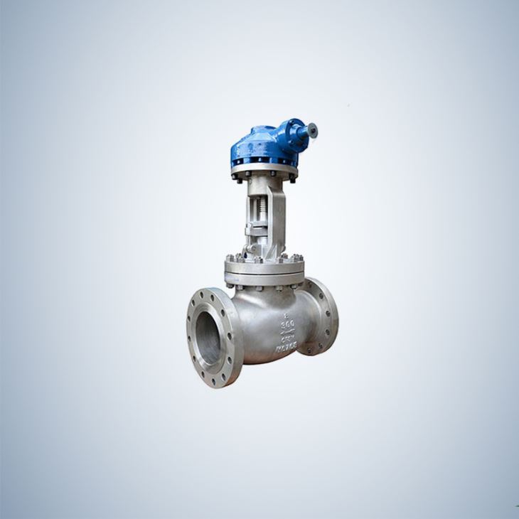 8 Inch Casting Globe Valve