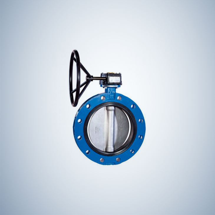8 Inch Flanged Concentric Butterfly Valve