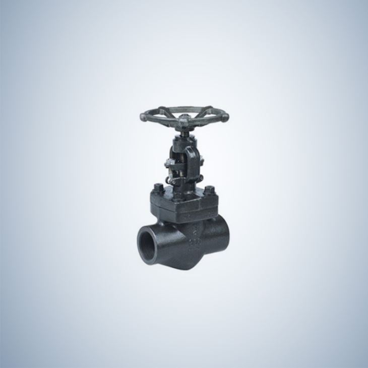 900Lb Forged Gate Valve