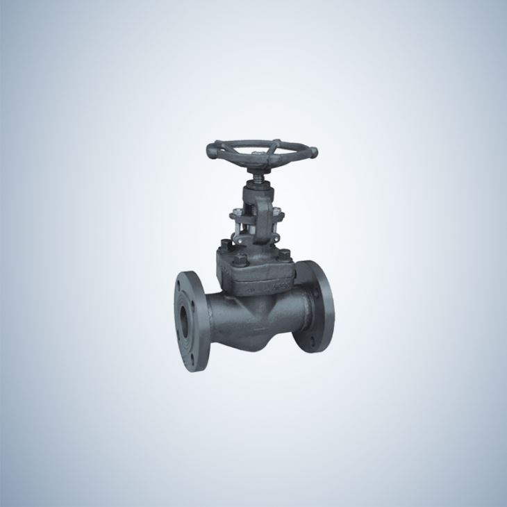 A105 Flanged Forged Steel Gate Valve