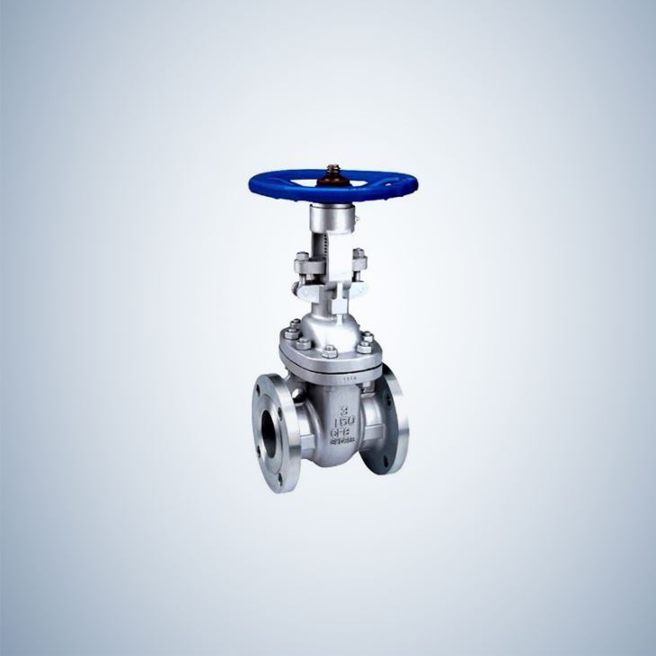 Bolted Bonnet Cast Steel Gate Valve