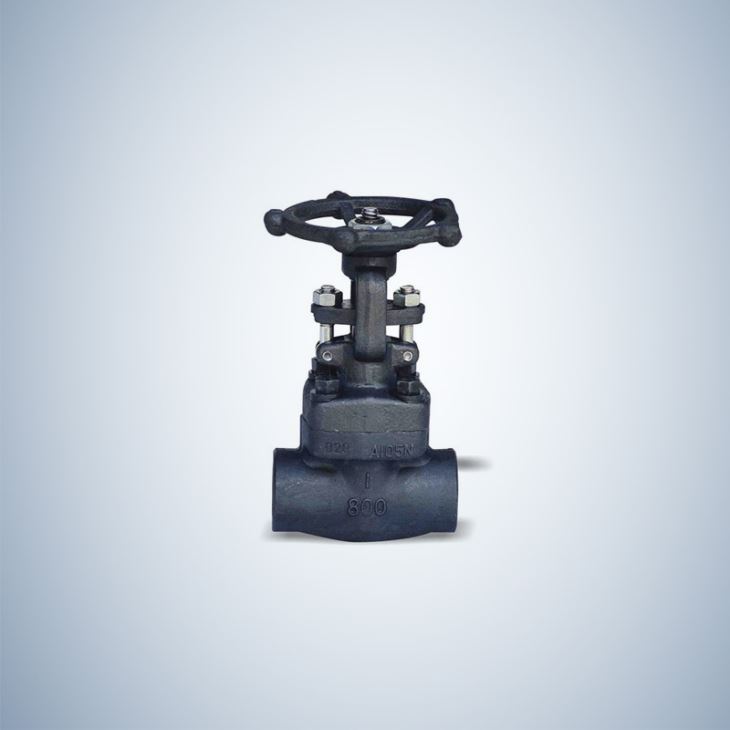 Bolted Bonnet SW Ends Forged Globe Valve