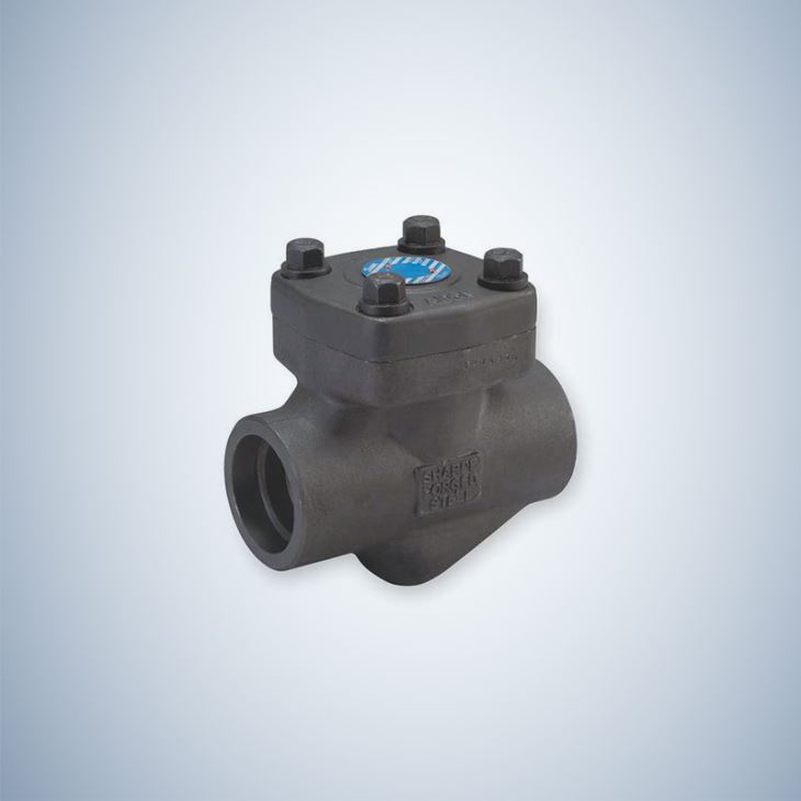 Bonney Forge Check Valve Forged Check Valve