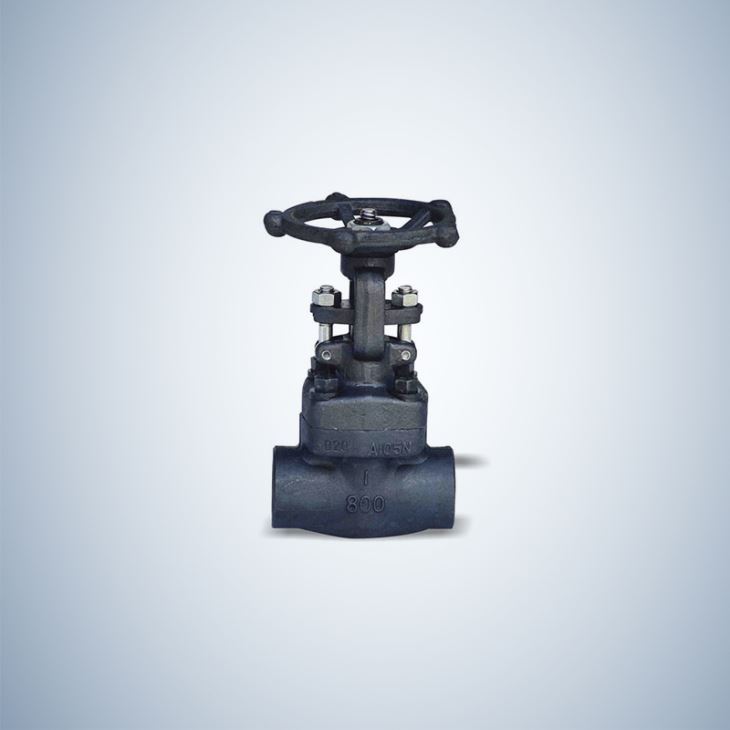 Bonney Forge Bolted Bonnet Forged Gate Valve