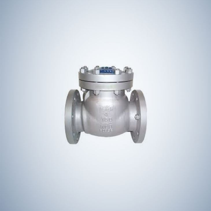 Butt Weld Cast Steel Check Valve