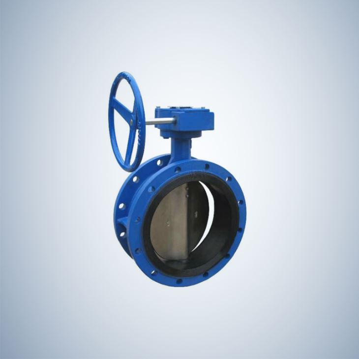 Cast Iron Concentric Butterfly Valve