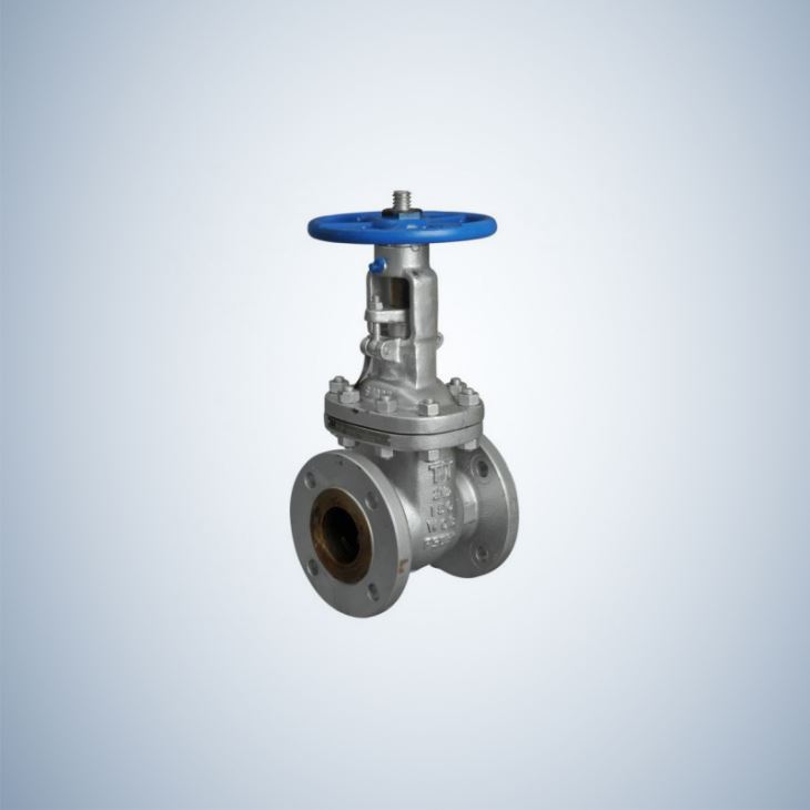 Class 150 150Lb Cast Steel Gate Valve