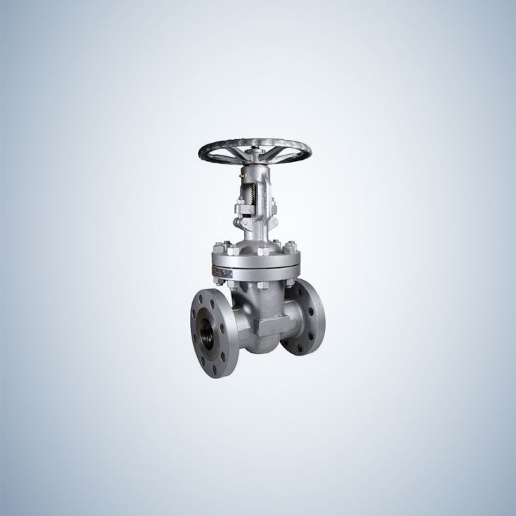 Cast Steel Gate Valve Flanged