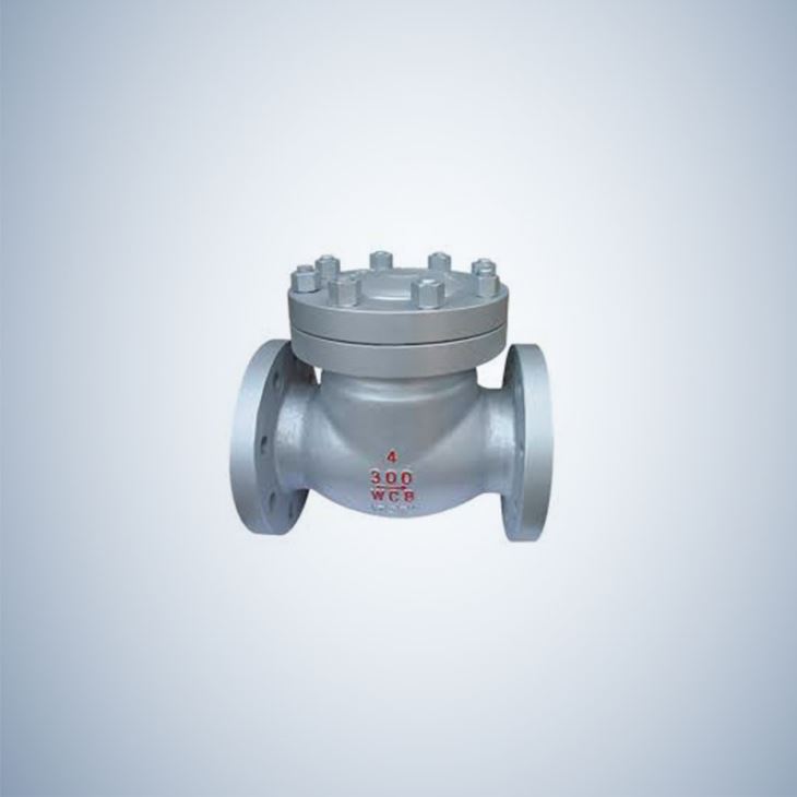 Customized Cast Steel Swing Check Valve