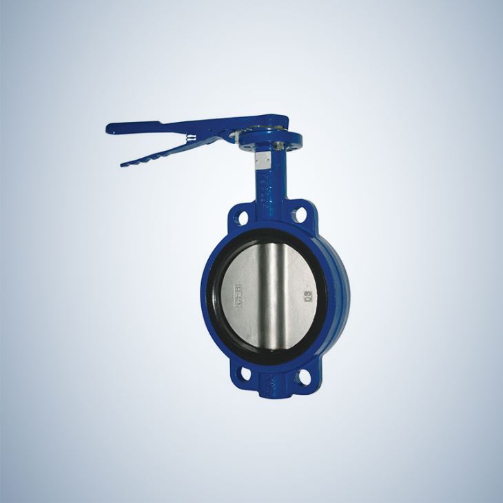 Ductile Iron Wafer Concentric Butterfly Valve