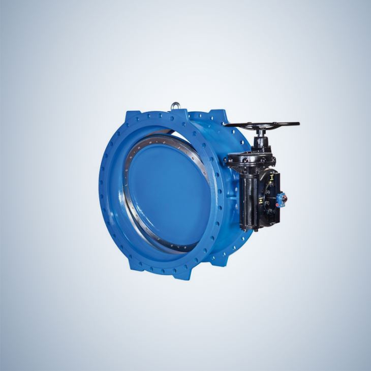 Eccentric Double Offset Butterfly Valve