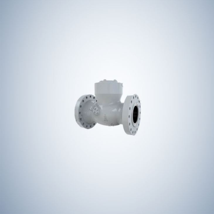 Flange Ends Pressure Sealing Swing Check Valve