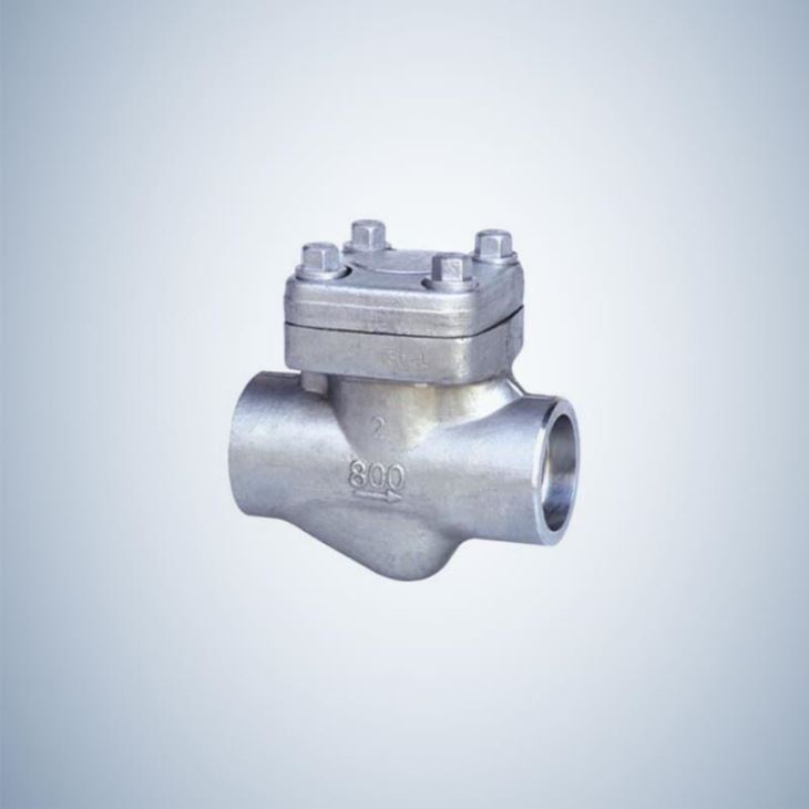 Forged Check Valve Socket Weld