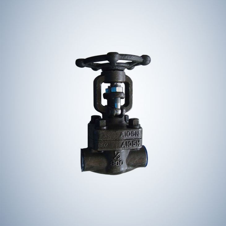 Forged Steel Gate Valve Hand Opearte