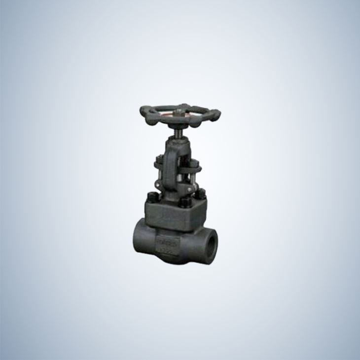 Valves Forged Steel Gate Valve SW Ends