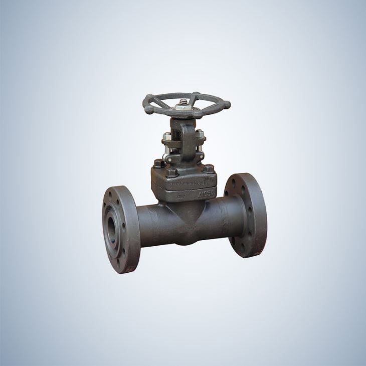 Forged Steel Globe Valve Flanged Ends