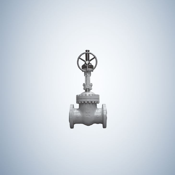 Flange Type WCB Gate Valve Flange Ends