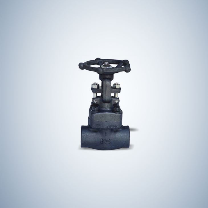 Hand Operated forged Gate Valve