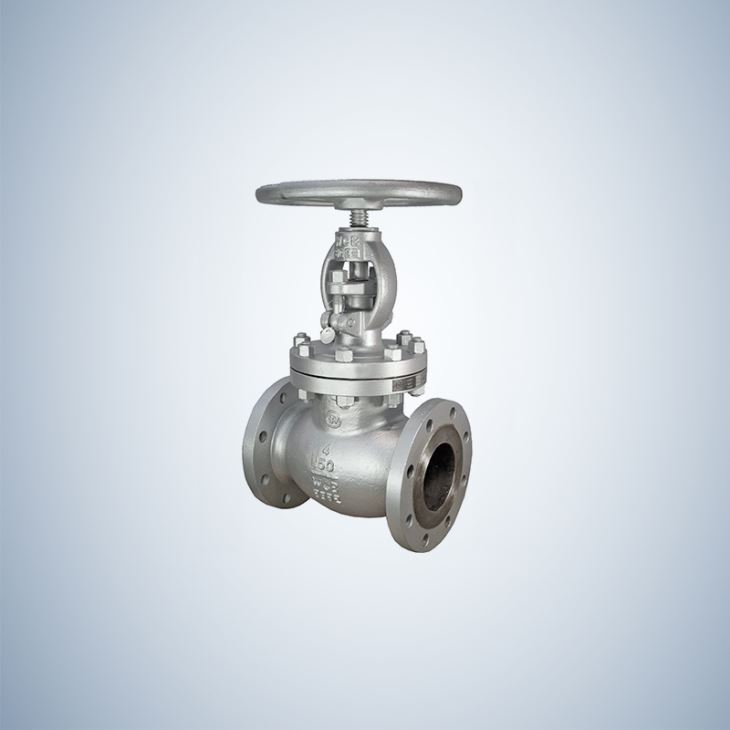 Hand Wheel Operated 4 Inch WCB Globe Valve