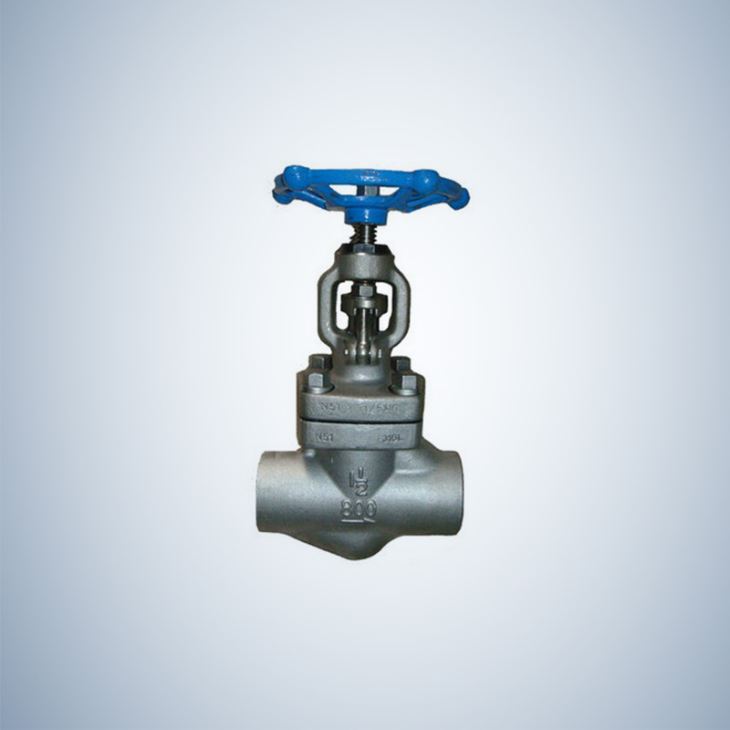 Hand Wheel Operated SW Ends Forged Globe Valve