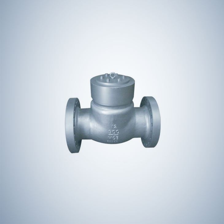 Pressure Sealing Flanged Check Valve