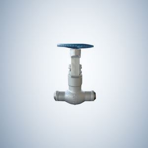 1500Lb Pressure Seal Globe Valve