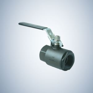 2 Inch 8000 WOG 2 Piece Threaded Ball Valve