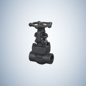 2 Inch Forged Steel A105 Globe Valve