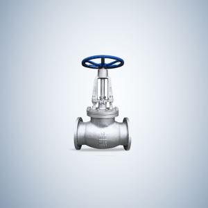 API Standard Globe Valve