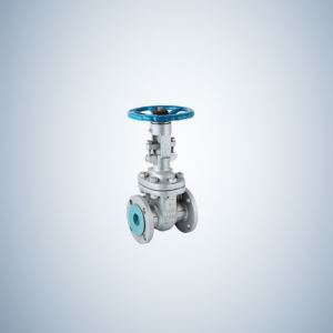 Bolted Bonnet WCB Gate Valve