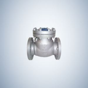 Butt Weld Cast Steel Check Valve