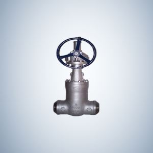 BW Ends Pressure Seal Gate Valve