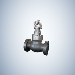 Cast Steel Pressure Seal Globe Valve