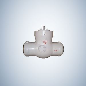 Cast Steel SW Ends Pressure Seal Check Valve