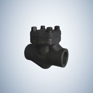 Check Valve Threaded End