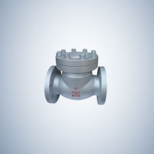 Customized Cast Steel Swing Check Valve