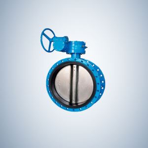 Disc Double Flange Concentric Butterfly Valve
