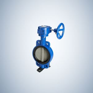 Disc Wafer Type Concentric Butterfly Valve