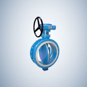 Double Flange Type Concentric Butterfly Valve