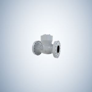 Flange Ends Pressure Sealing Swing Check Valve