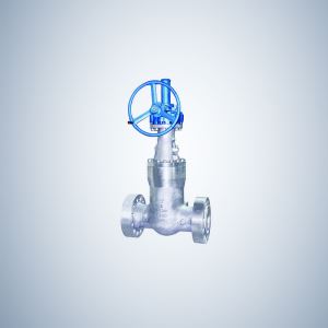 Flanged Pressure Seal Bonnet Gate Valve