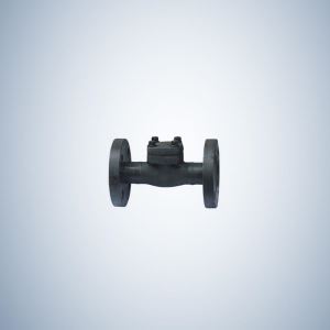 Forged Check Valve Flange Ends