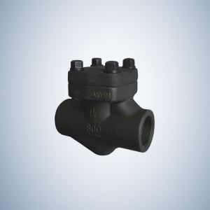 Forged Check Valve NPT End