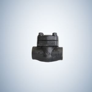 Forged Steel Swing Check Valve