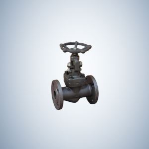 Forged Steel Gate Valve Flange Ends