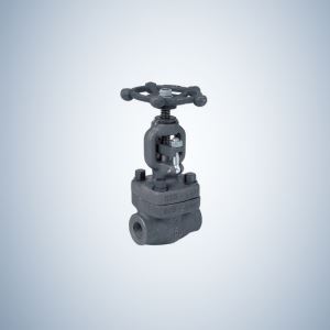 2 Inch Forged Steel Gate Valve