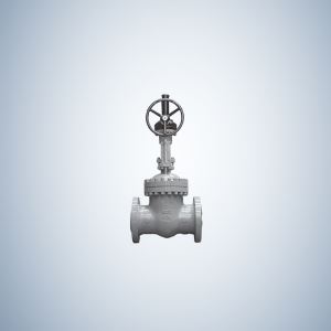 Flange Type WCB Gate Valve Flange Ends